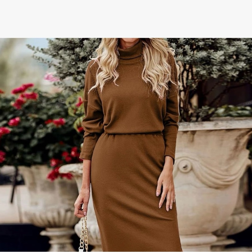 Amazon Elegant Brown Long Sleeve Set Sz L